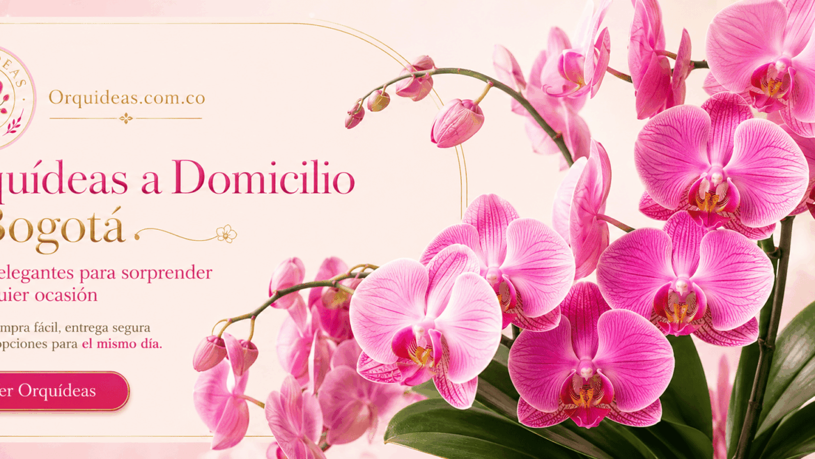 Cuidados de las Orquídeas: Guía práctica para mantenerlas hermosas y saludables